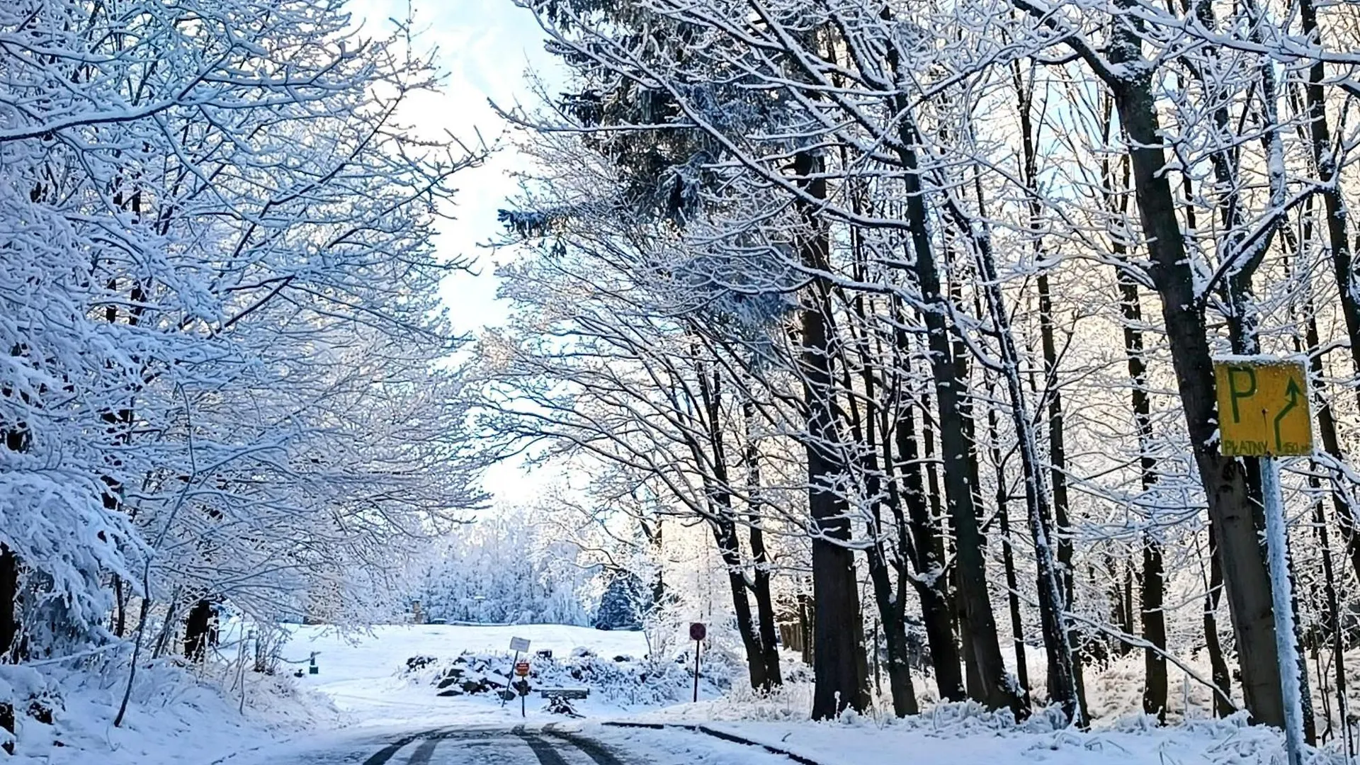 Osrodek Wypoczynkowy Przy Lesie Hotel Karpacz 0*,  Poland